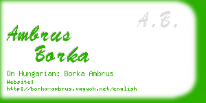 ambrus borka business card